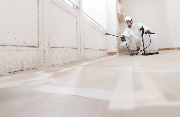 24/7 Emergency Mold Remediation experts in Silver Spring, MD
