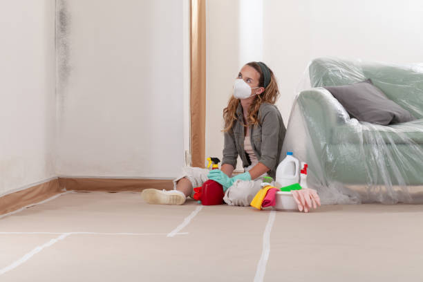 Reliable Mold Remediation contractor in Silver Spring, MD by Car Mold Remediation